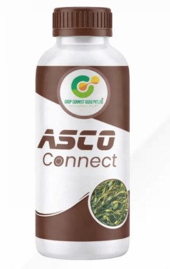 Asco Connect